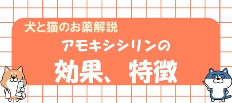  Cellera アモキシシリン三水和経口懸濁液リーフレット