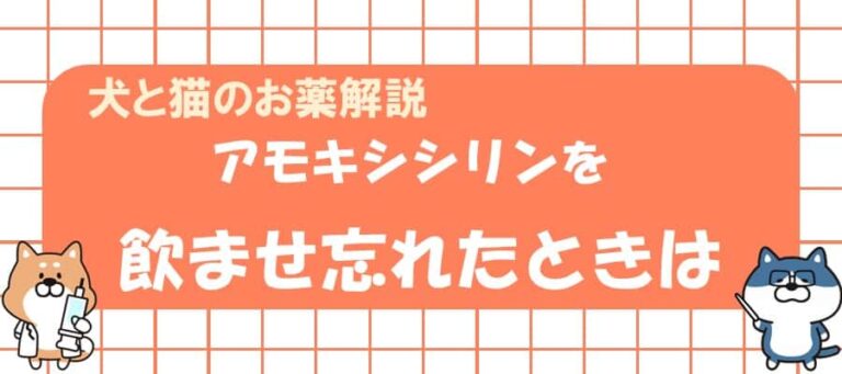 アモキシシリン三水和物ノヴァ・キミカのリーフレット