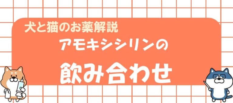 アモキシシリン経口懸濁液 Teuto リーフレット