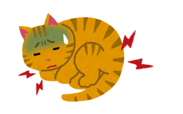 メロキシカムの概要