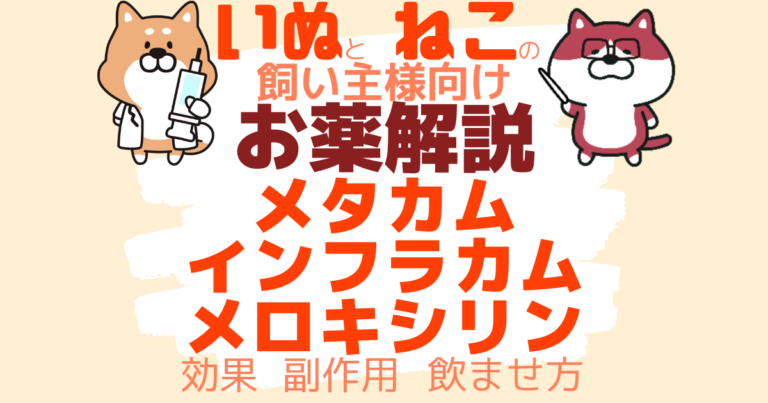 モボキシカムのリーフレット